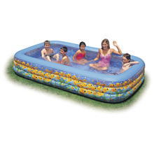 Intex 120" Sunfish Pool